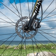 Nome File=Cycle_tour_(1_of_1).JPG
Dimensione File=411KB
Dimensioni=800x800
Data aggiunta=Lug 17, 2016 Cycle_tour_(1_of_1).JPG
