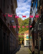 DSC07133-Edit.jpg