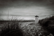 DSC07384-Edit.jpg