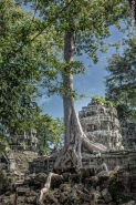 angkor_8.JPG