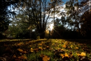 autunno_churchyard_backlit_1.JPG