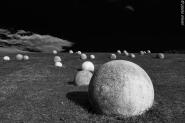 Nome File=balls_(1_of_1).JPG
Dimensione File=550KB
Dimensioni=1200x800
Data aggiunta=Apr 05, 2016 balls_(1_of_1).JPG