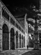 bitonto_s_cathedral_(1_of_1).JPG