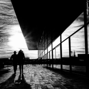 Nome File=coupleinblack.JPG
Dimensione File=312KB
Dimensioni=797x800
Data aggiunta=Ott 02, 2016 coupleinblack.JPG