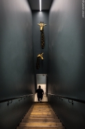 cph,illums_mad,giraffs,OK_(1_of_1).jpg