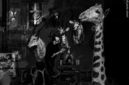 fantasy_screen_BN_(1_of_1).jpg