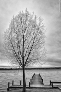 fredensborg_albero_molo_bn.JPG