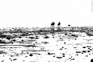 Nome File=horse_ride_BN_(1_of_1).jpg
Dimensione File=399KB
Dimensioni=1200x800
Data aggiunta=Gen 05, 2017 horse_ride_BN_(1_of_1).jpg