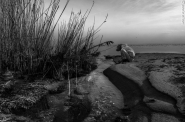 Nome File=kevin_på_stranden_BN.jpg
Dimensione File=214KB
Dimensioni=1200x795
Data aggiunta=Gen 30, 2018 kevin_på_stranden_BN.jpg
