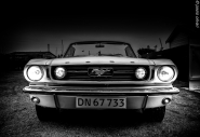 mustang,bw-1.JPG