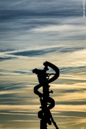 Nome File=statue_ørestad.JPG
Dimensione File=305KB
Dimensioni=540x800
Data aggiunta=Dic 06, 2016 statue_ørestad.JPG