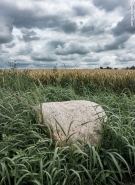 Filename=the_stone_(1_of_1).JPG
Filesize=518KB
Dimensions=584x800
Date added=Jul 16, 2016 the_stone_(1_of_1).JPG