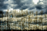Nome File=trees_and_clouds-1.JPG
Dimensione File=422KB
Dimensioni=1200x800
Data aggiunta=Apr 27, 2017 trees_and_clouds-1.JPG