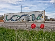 Nome File=tulips_and_container-1.JPG
Dimensione File=480KB
Dimensioni=1059x800
Data aggiunta=Mag 11, 2017 tulips_and_container-1.JPG
