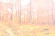 untitled-71-Edit-Edit-Edit.jpg
