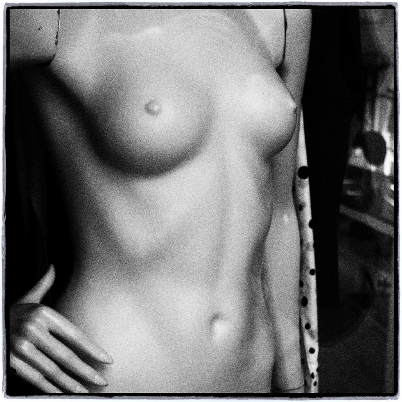 Clicca per l'immagine full size