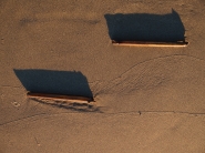 Nome File=velieri.JPG
Dimensione File=383KB
Dimensioni=1024x768
Data aggiunta=Gen 09, 2016 velieri.JPG