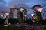 1000_Singapore_Gardens_by_the_Bay_1200.jpg