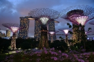 Nome File=1000_Singapore_Gardens_by_the_Bay_1200.jpg
Dimensione File=400KB
Dimensioni=1200x801
Data aggiunta=Apr 25, 2016 1000_Singapore_Gardens_by_the_Bay_1200.jpg