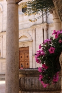 Nome File=VISTA_FIORITA.JPG
Dimensione File=314KB
Dimensioni=800x1200
Data aggiunta=Giu 20, 2016 VISTA_FIORITA.JPG