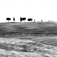 Nome File=scarnificazioni_1_web.JPG
Dimensione File=480KB
Dimensioni=850x850
Data aggiunta=Mag 15, 2017 scarnificazioni_1_web.JPG