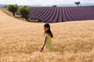 Nome File=provence1_rsz.jpg
Dimensione File=318KB
Dimensioni=900x600
Data aggiunta=Ago 29, 2017 provence1_rsz.jpg