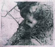 Nome File=arbol.jpg
Dimensione File=583KB
Dimensioni=878x750
Data aggiunta=Gen 25, 2017 arbol.jpg