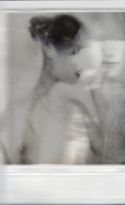 Nome File=autopsychography.jpg
Dimensione File=358KB
Dimensioni=734x1200
Data aggiunta=Feb 19, 2019 autopsychography.jpg
