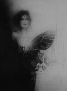 Nome File=night_butterfly-----.jpg
Dimensione File=288KB
Dimensioni=876x1200
Data aggiunta=Dic 27, 2016 night_butterfly-----.jpg