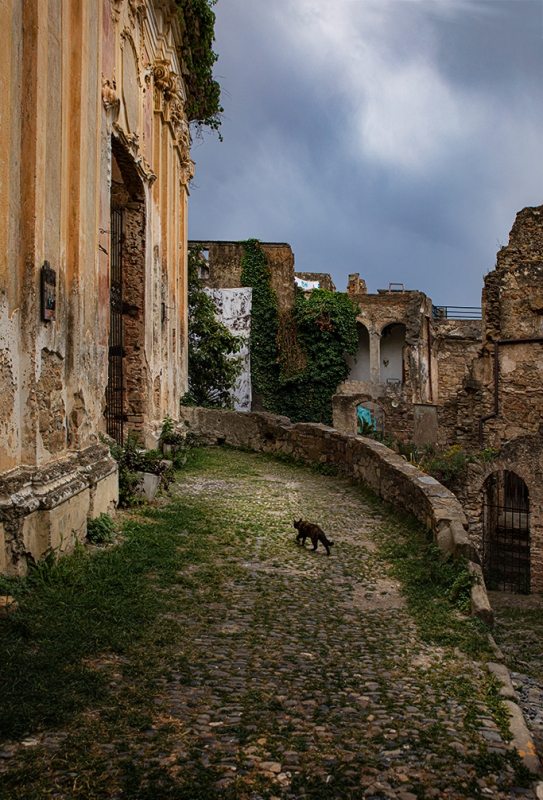 Clicca per l'immagine full size