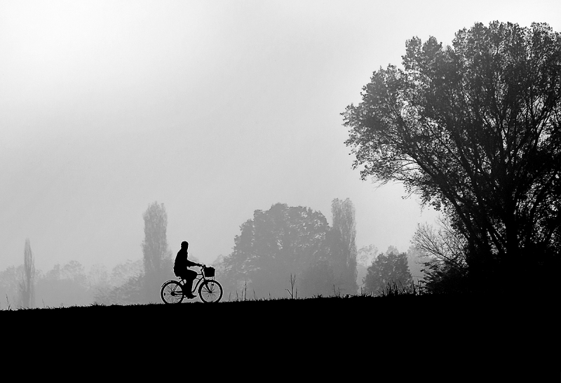 Clicca per l'immagine full size
