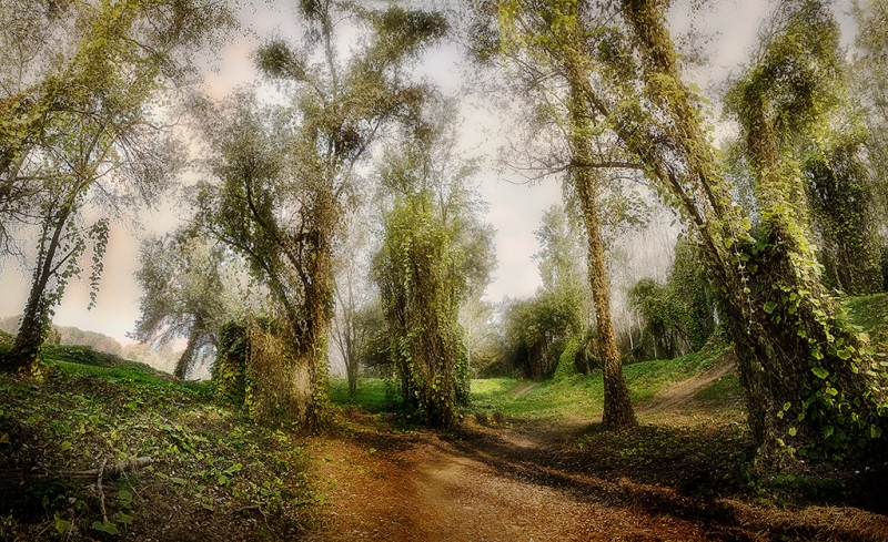 Clicca per l'immagine full size