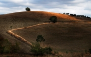 Geometrie_toscane.jpg