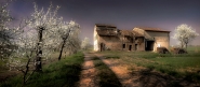 Nome File=Il_tempo_dei_fiori_ciliegio.jpg
Dimensione File=571KB
Dimensioni=1200x529
Data aggiunta=Mar 30, 2019 Il_tempo_dei_fiori_ciliegio.jpg