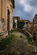 Nome File=L_ultimo_abitante.jpg
Dimensione File=487KB
Dimensioni=683x1006
Data aggiunta=Giu 14, 2019 L_ultimo_abitante.jpg