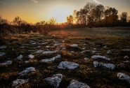 Nome File=La_luce_del_tramonto.jpg
Dimensione File=552KB
Dimensioni=1024x698
Data aggiunta=Nov 17, 2017 La_luce_del_tramonto.jpg