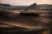 Nome File=Sardegna_-_grandi_spazi.jpg
Dimensione File=449KB
Dimensioni=1200x784
Data aggiunta=Mag 14, 2017 Sardegna_-_grandi_spazi.jpg
