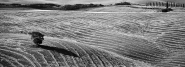 Nome File=Toscana.jpg
Dimensione File=532KB
Dimensioni=1200x436
Data aggiunta=Mag 31, 2017 Toscana.jpg