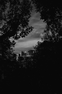 Nome File=Sibilla_micromosso.jpg
Dimensione File=132KB
Dimensioni=369x553
Data aggiunta=Gen 29, 2018 Sibilla_micromosso.jpg