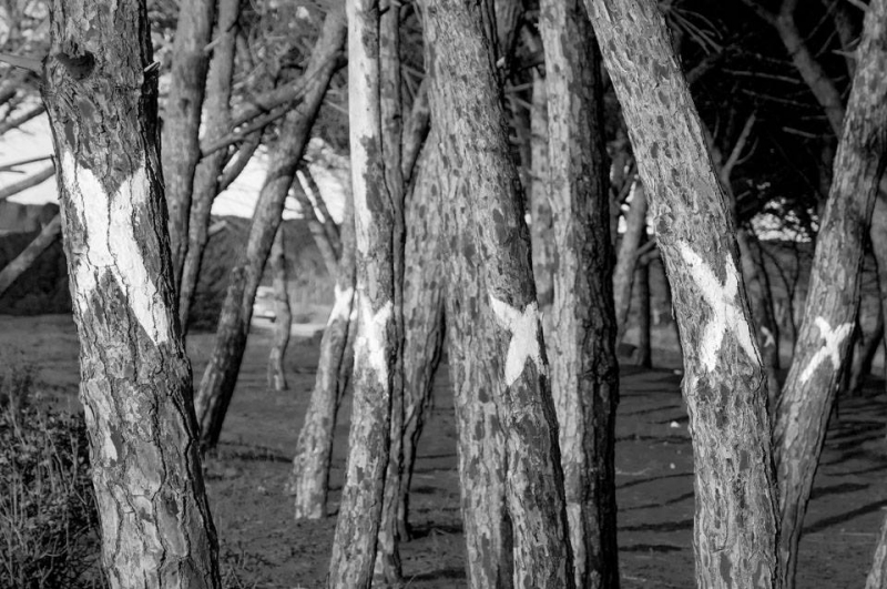 Clicca per l'immagine full size