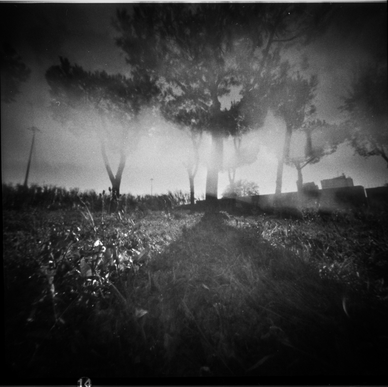 Clicca per l'immagine full size