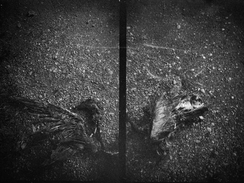 Clicca per l'immagine full size