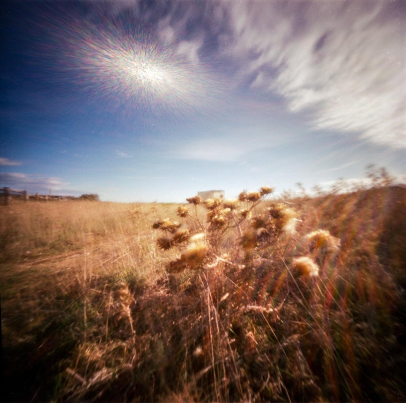 Clicca per l'immagine full size