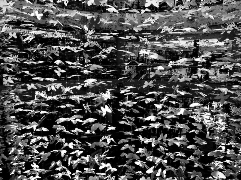 Clicca per l'immagine full size