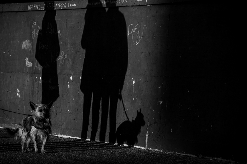Clicca per l'immagine full size