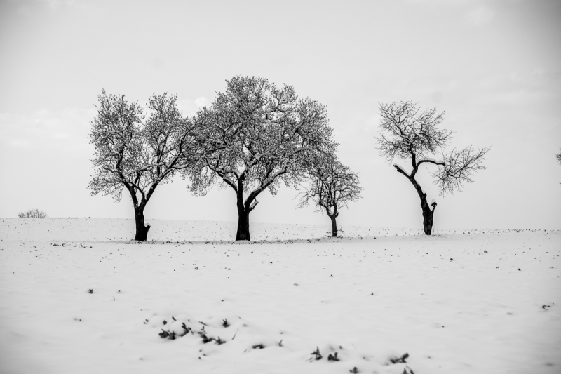 Clicca per l'immagine full size