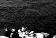 Nome File=rsz_1x_-t_100_-110_034.jpg
Dimensione File=236KB
Dimensioni=1200x823
Data aggiunta=Ott 30, 2019 rsz_1x_-t_100_-110_034.jpg