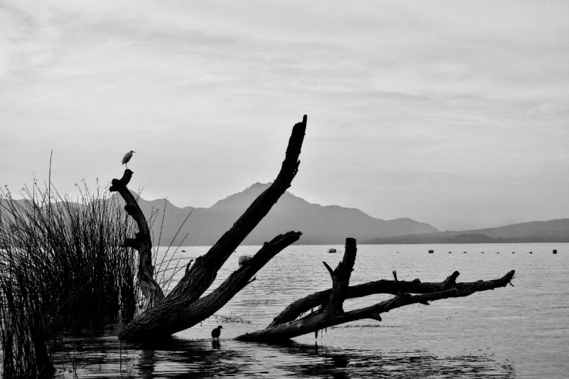 Clicca per l'immagine full size
