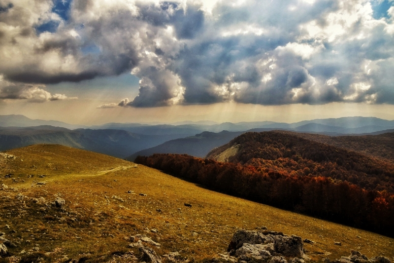 Clicca per l'immagine full size