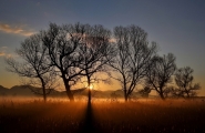 _DSC_5461_aaaa.jpg _DSC_5461_aaaa.jpg
